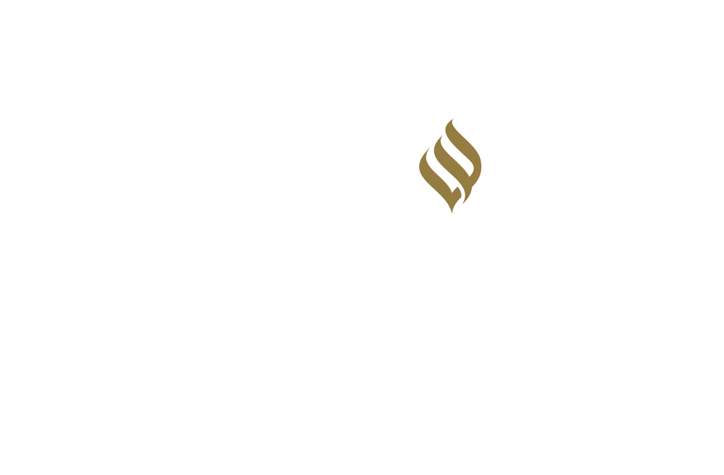 Partner 9