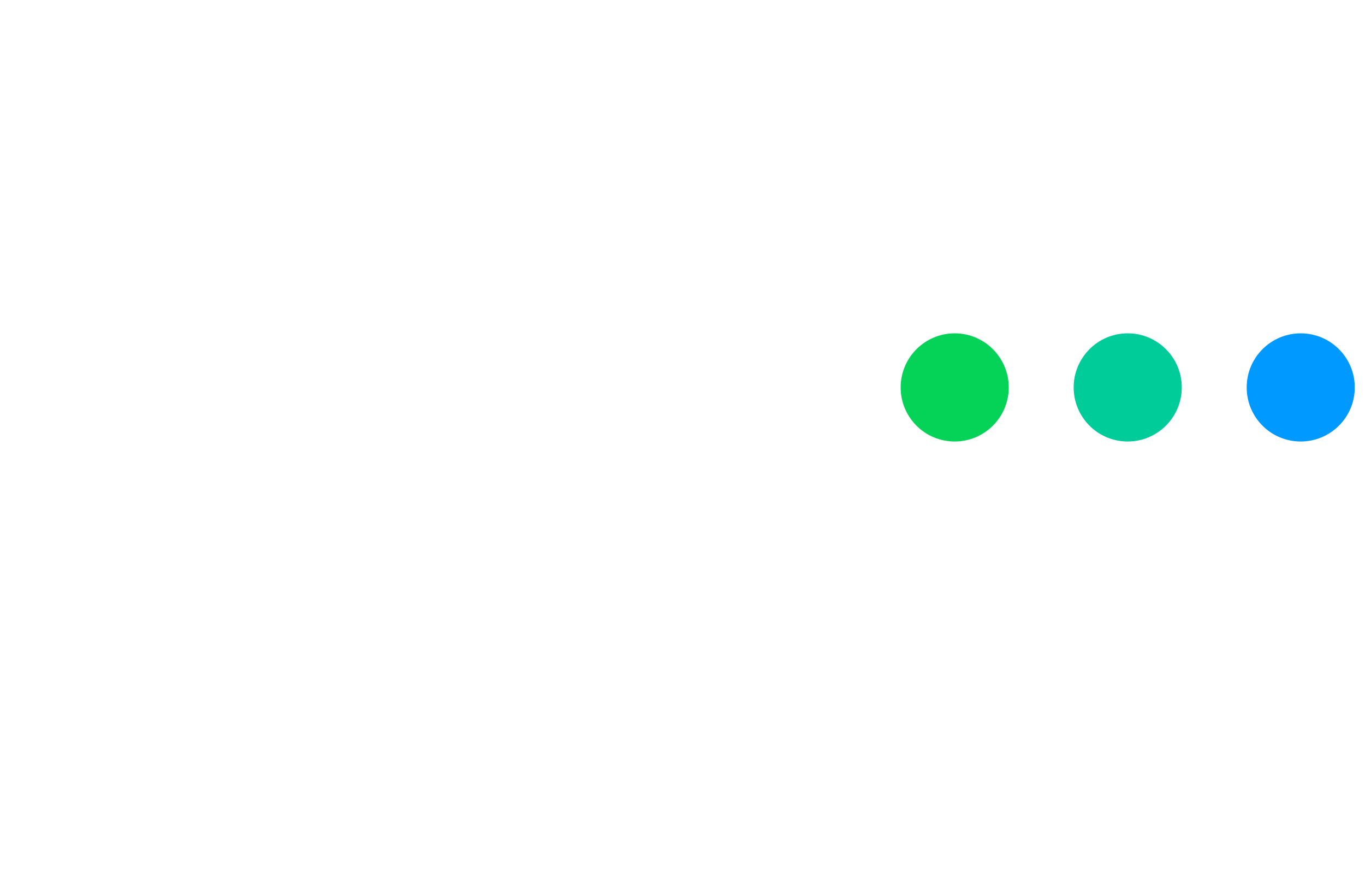 Partner 3